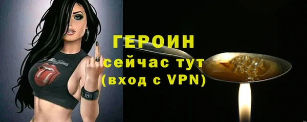 молекула духа Гусев