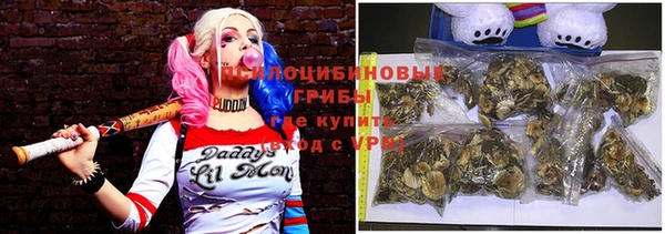 a pvp Арсеньев