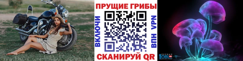 закладки  Магадан  Псилоцибиновые грибы Psilocybe 