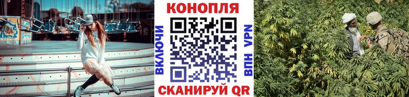 где найти наркотики  Магадан  Каннабис Amnesia 